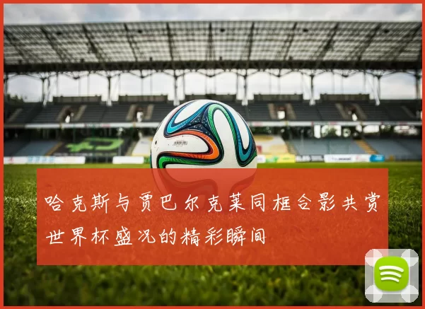 哈克斯与贾巴尔克莱同框合影共赏世界杯盛况的精彩瞬间