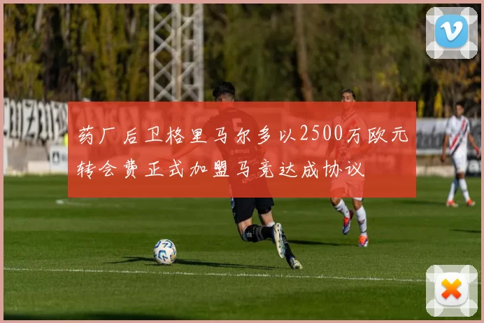 药厂后卫格里马尔多以2500万欧元转会费正式加盟马竞达成协议